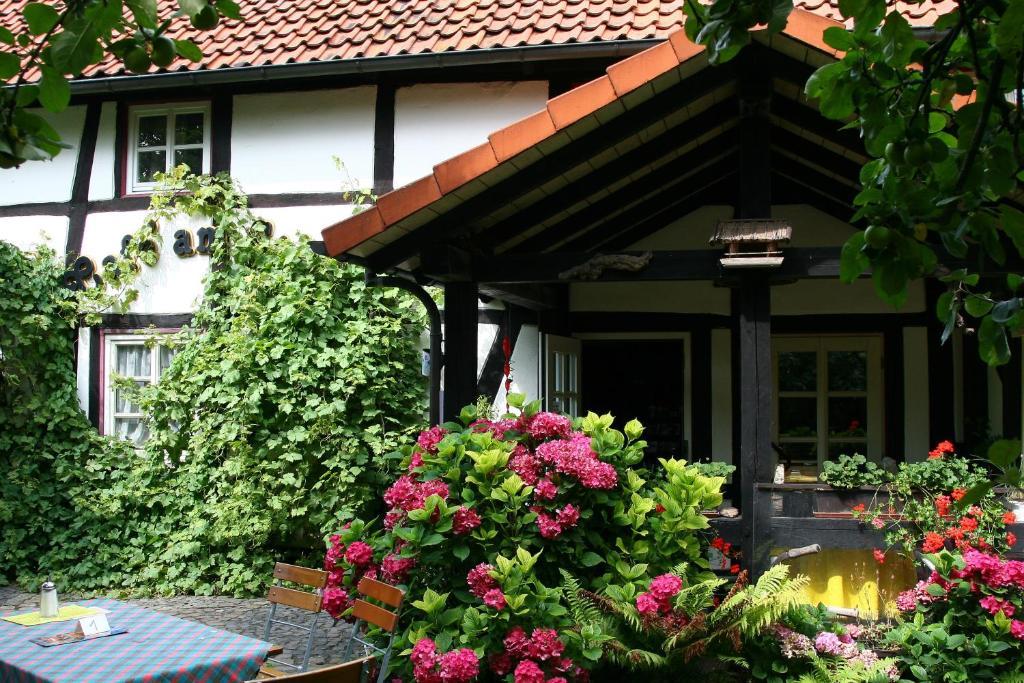 Hotel Cafe Am Stift Hessisch Oldendorf Kültér fotó